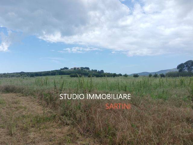 Terreno a Castiglione della pescaia - Foto 4