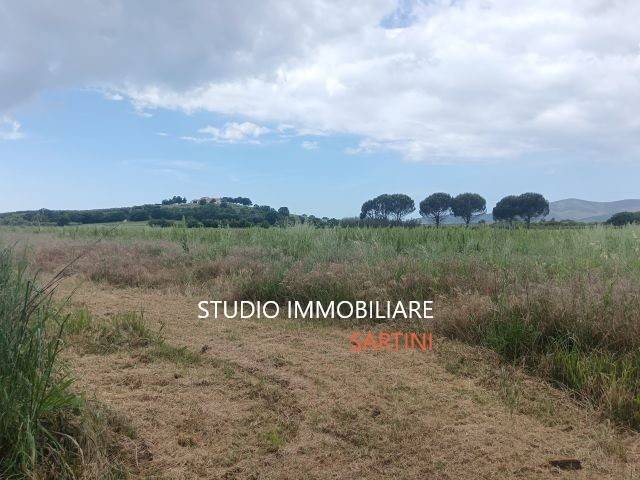 Terreno a Castiglione della pescaia - Foto 5