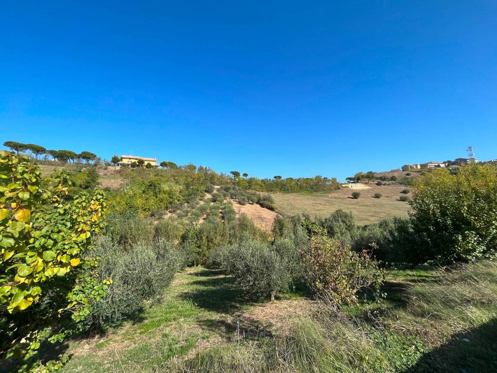 Terreno a Silvi in Strada Provinciale di Atri - Foto 2