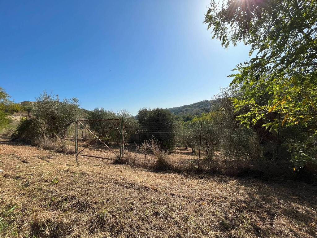 Terreno a Silvi in Strada Provinciale di Atri - Foto 3