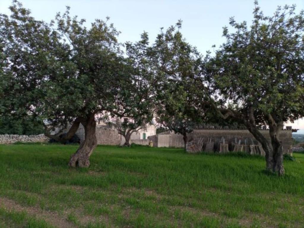 Villa a Scicli in Contrada Torrepalombo s.n.c - Foto 4