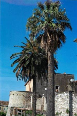 Appartamento a Poggio catino - Foto 2