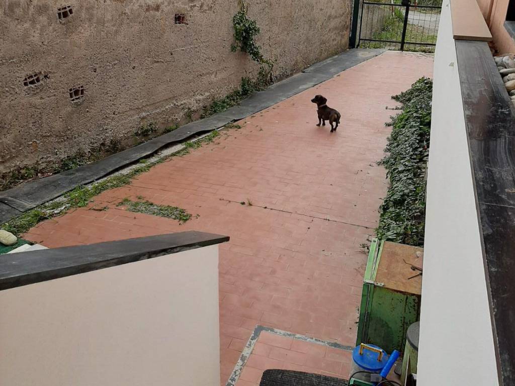 Appartamento a Spotorno - Foto 5