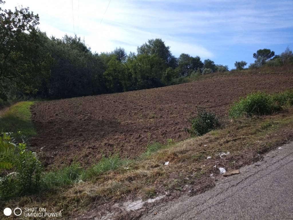 Terreno a Apollosa in Via Epitaffio - Foto 3