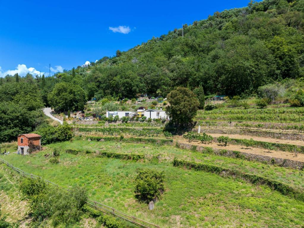 Terreno a Vallebona in Strada Maciurina - Foto 2