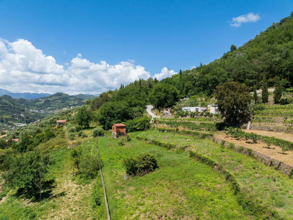 Terreno a Vallebona in Strada Maciurina - Foto 3