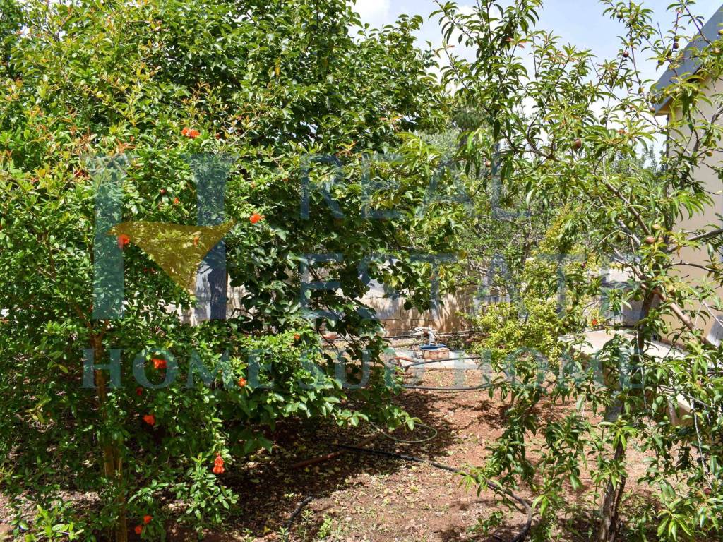 Villa a Noto in Via Tommaso Fazello, 228 - Foto 4
