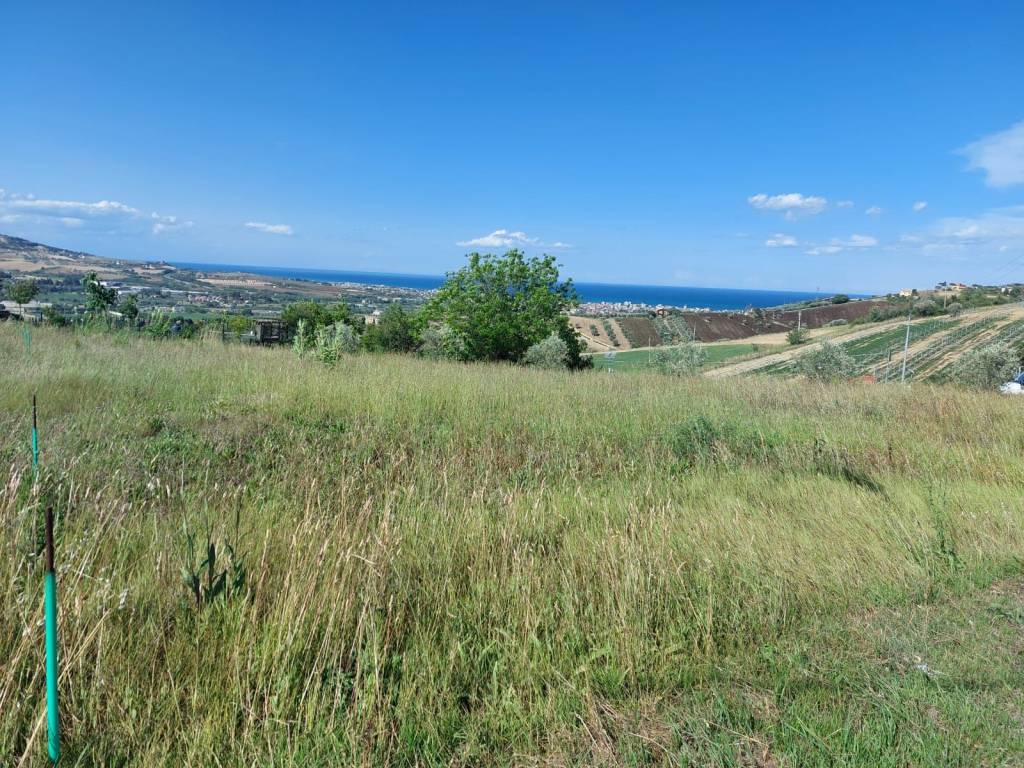 Terreno a Tortoreto in Via Colle Luna - Foto 2