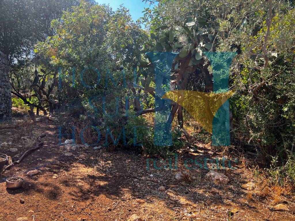 Rustico / casale a Siracusa in Strada Provinciale Cugni - Foto 4