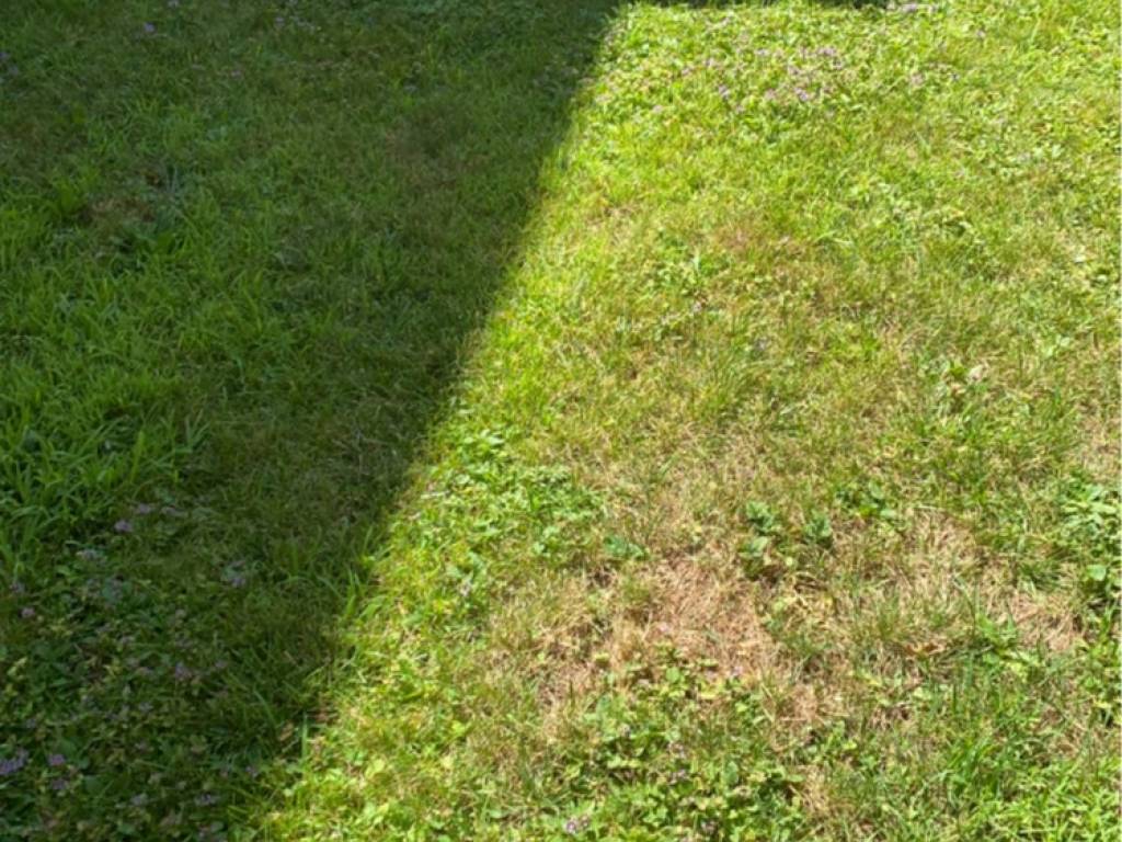 Rustico / casale a Busto arsizio in Via Taormina, 26 - Foto 5