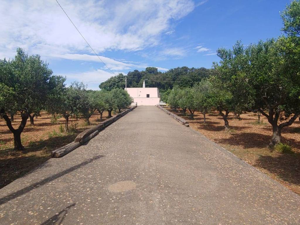 Rustico / casale a Martina franca in C.DA BUCCI - Foto 2