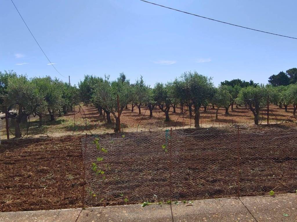 Rustico / casale a Martina franca in C.DA BUCCI - Foto 4