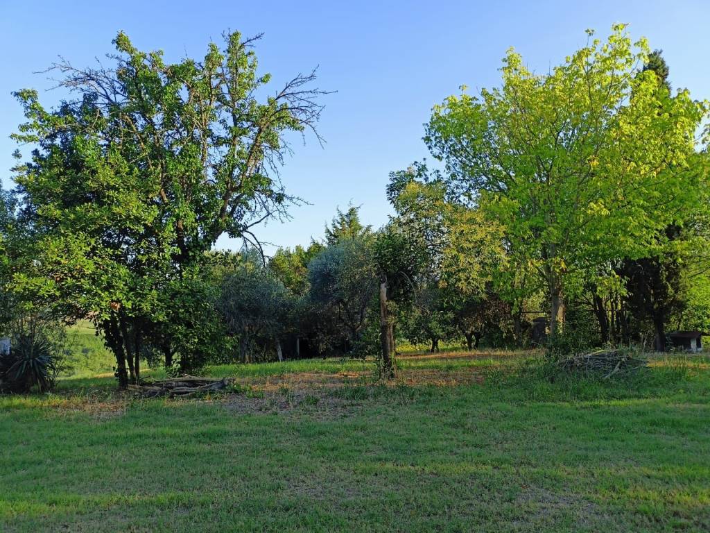 Rustico / casale a San costanzo - Foto 4