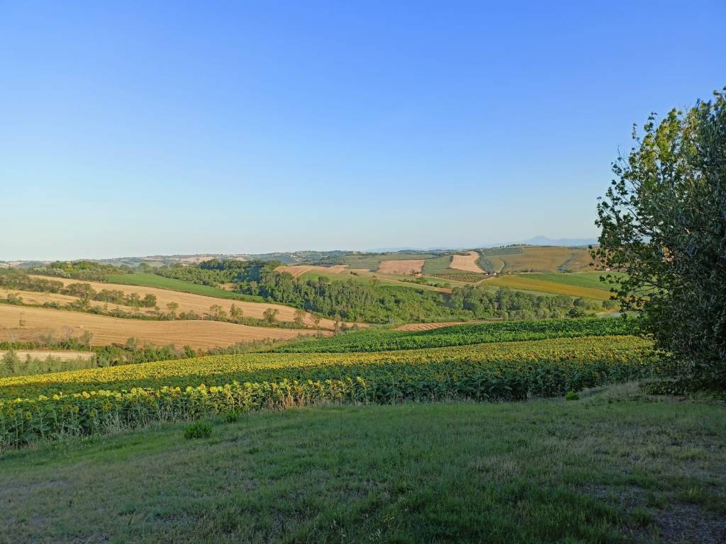 Rustico / casale a San costanzo - Foto 5