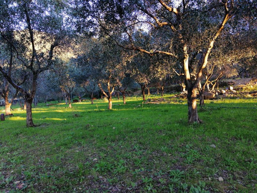 Terreno a Ceriale in Via Campore - Foto 2