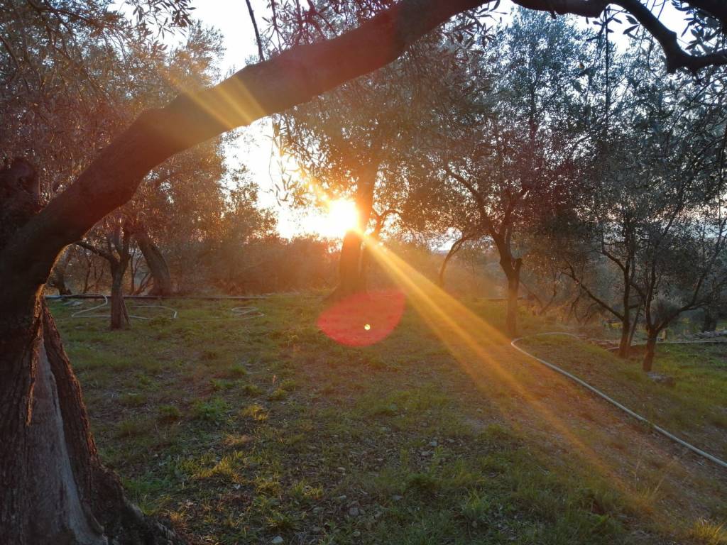 Terreno a Ceriale in Via Campore - Foto 3