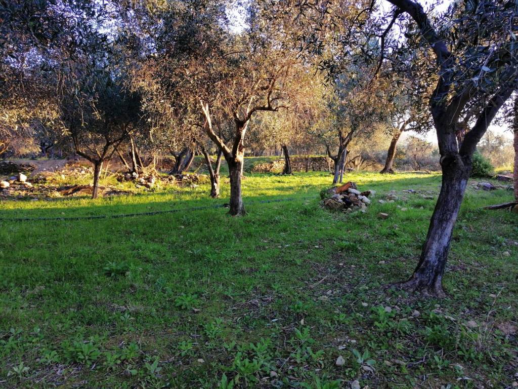 Terreno a Ceriale in Via Campore - Foto 4