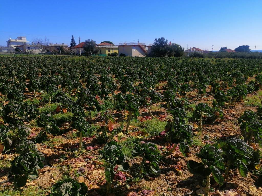 Terreno a Ceriale in Via Campore - Foto 5