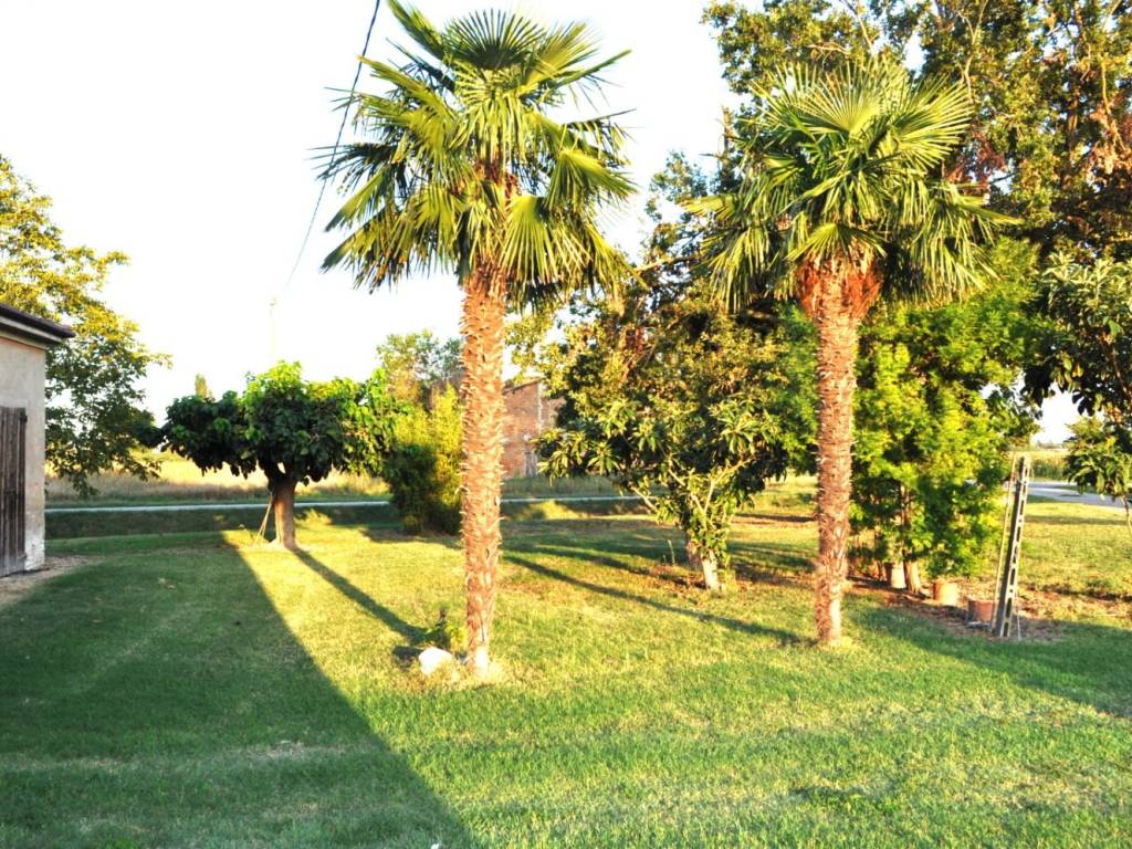 Villa a Conselice in Via Frascata - Foto 3