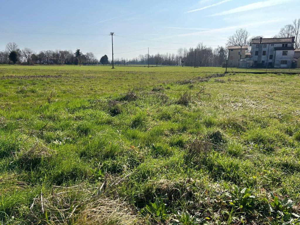 Terreno a Fontaniva in Via Zolea - Foto 5