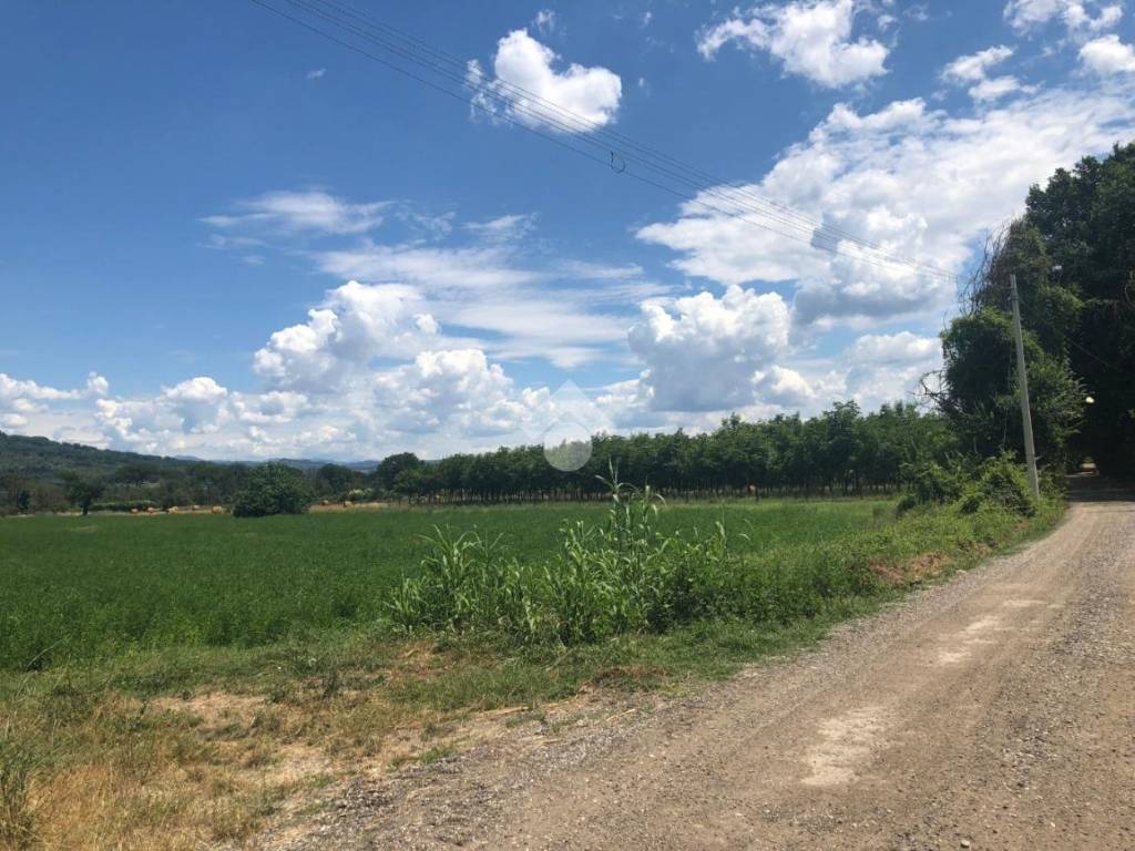 Terreno a Orte in Vocabolo bagno - Foto 2