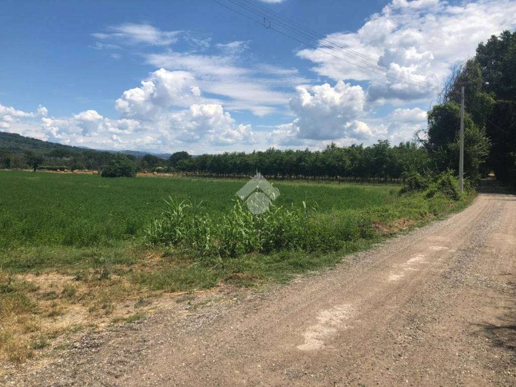 Terreno a Orte in Vocabolo bagno - Foto 3