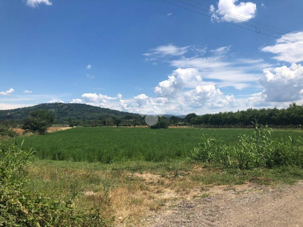 Terreno a Orte in Vocabolo bagno - Foto 4