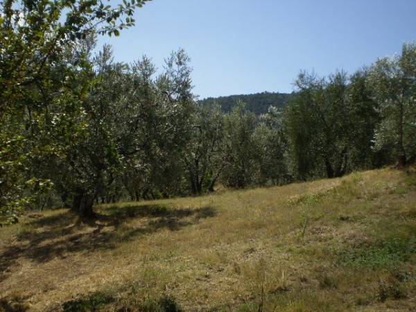 Terreno a Carmignano - Foto 3