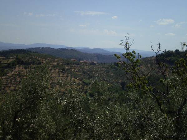 Terreno a Carmignano - Foto 4