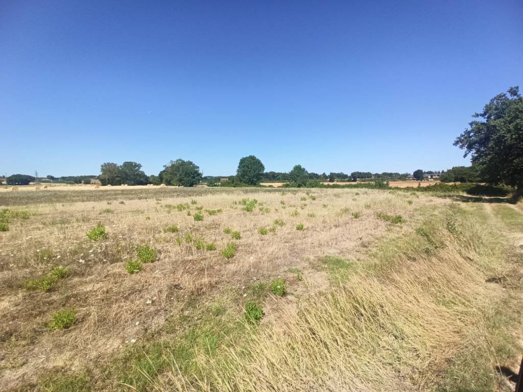 Terreno a Castiglione del lago - Foto 2
