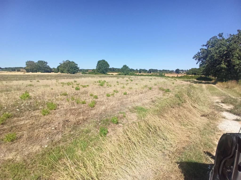Terreno a Castiglione del lago - Foto 3