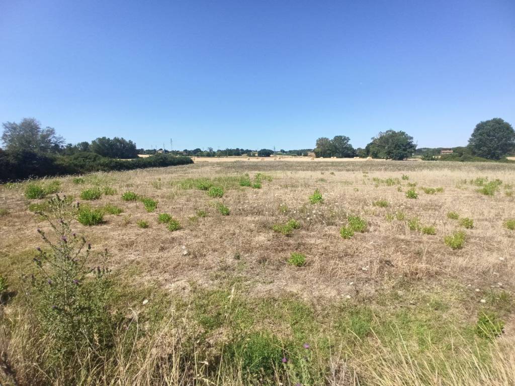 Terreno a Castiglione del lago - Foto 4
