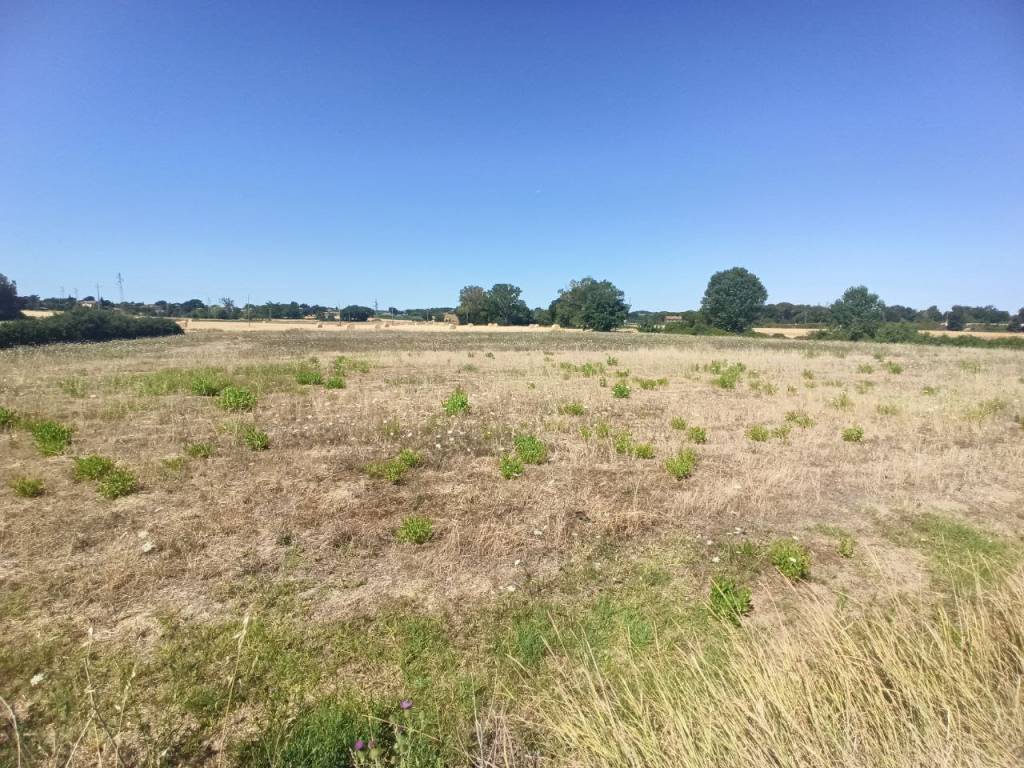 Terreno a Castiglione del lago - Foto 5