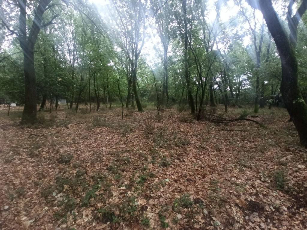 Terreno a Castiglione del lago - Foto 2