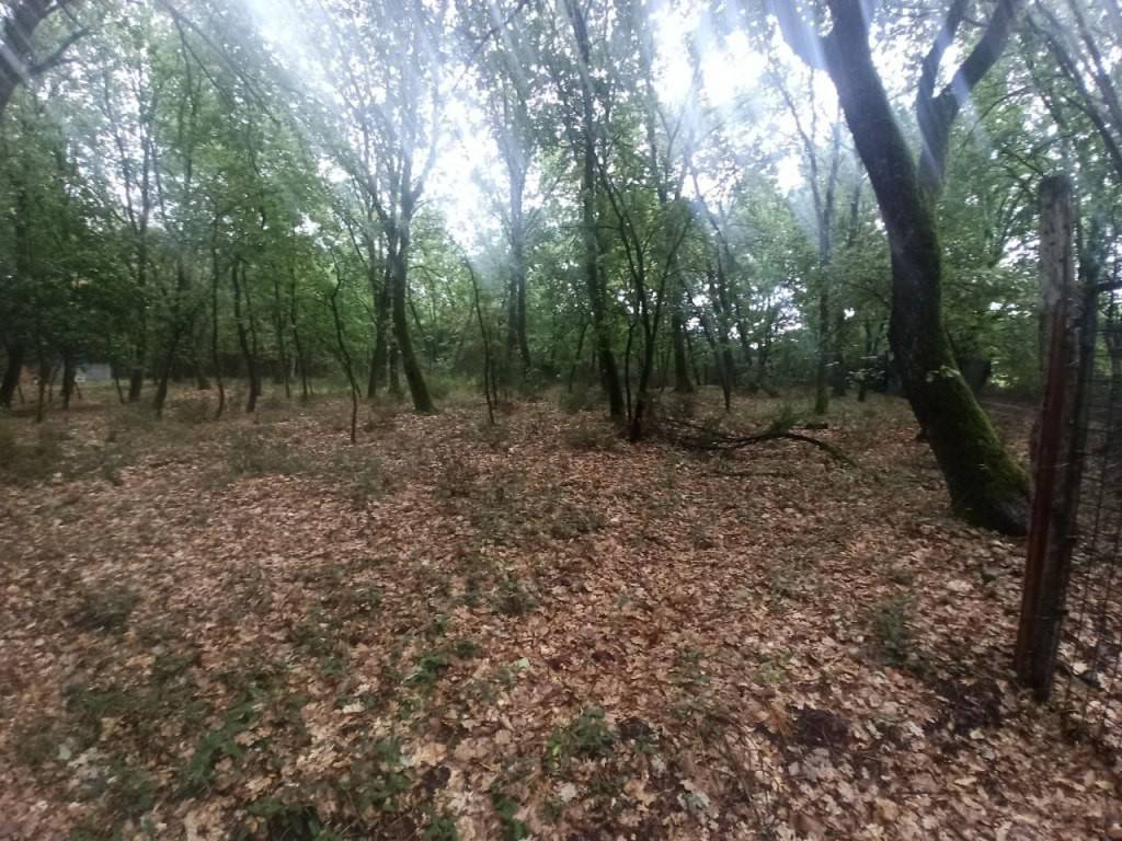 Terreno a Castiglione del lago - Foto 3