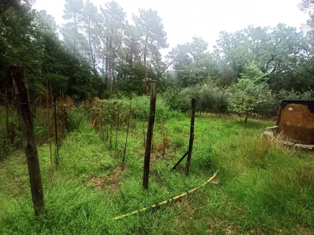 Terreno a Castiglione del lago - Foto 5