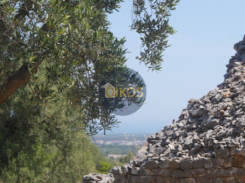 Rustico / casale a Fasano in Contrada Salamina - Foto 2