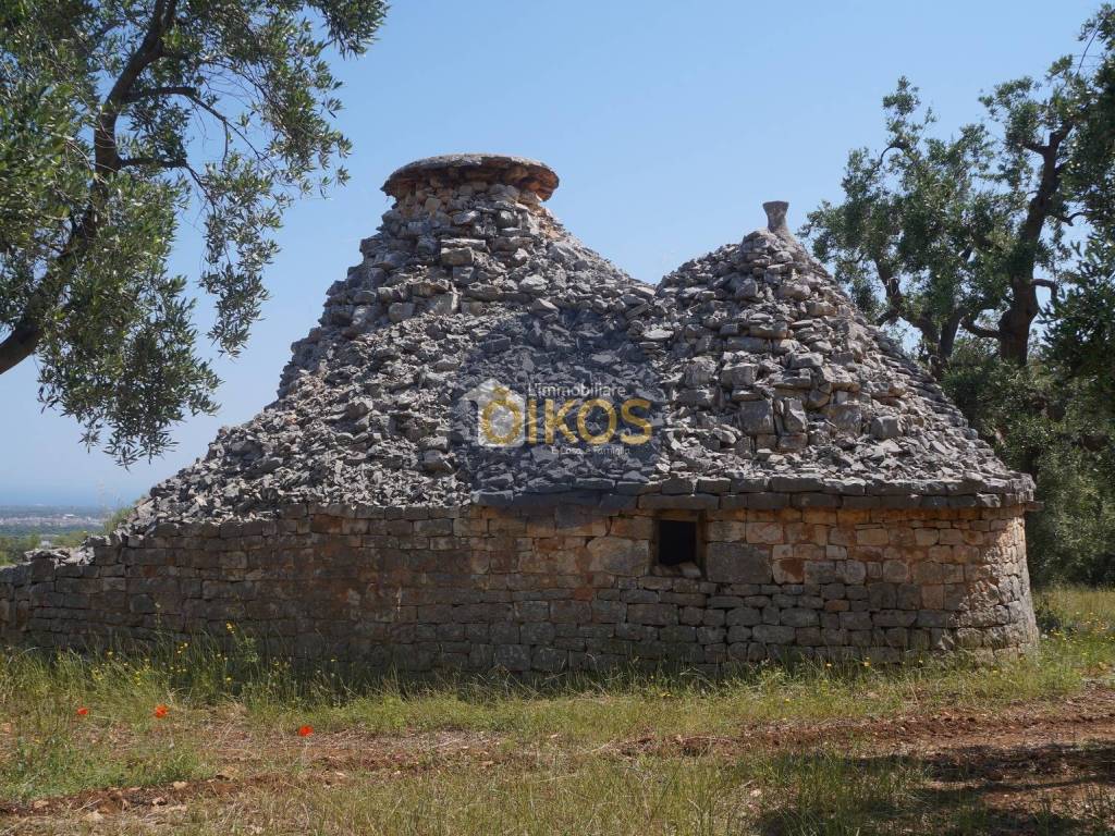 Rustico / casale a Fasano in Contrada Salamina - Foto 3