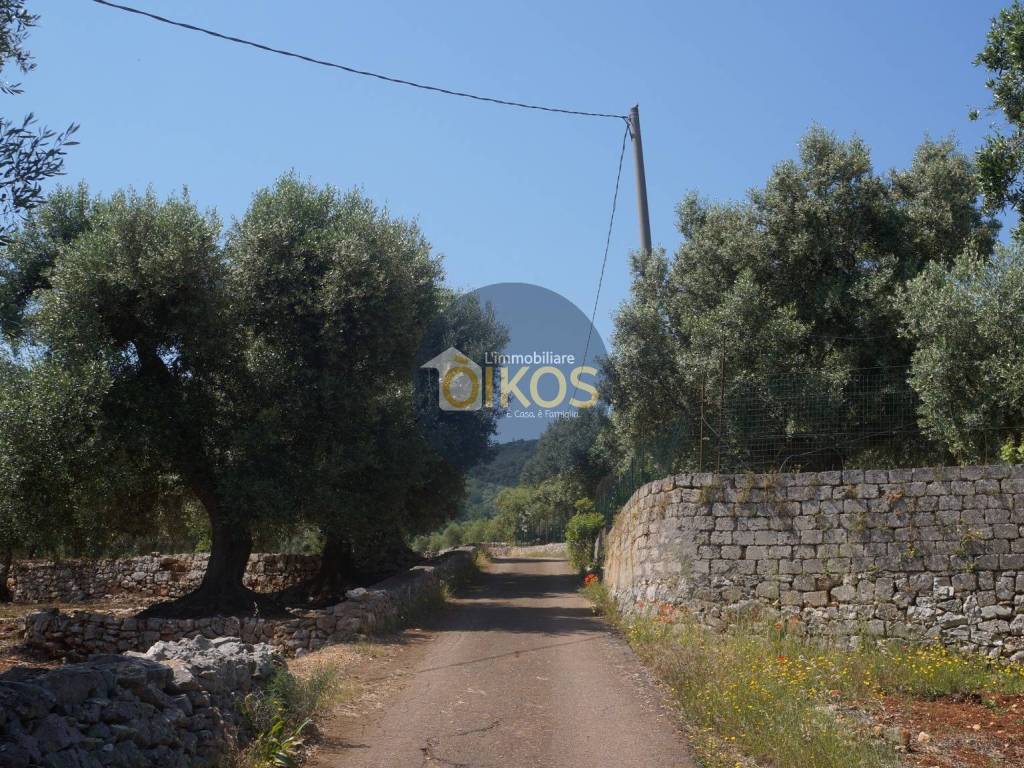 Rustico / casale a Fasano in Contrada Salamina - Foto 4