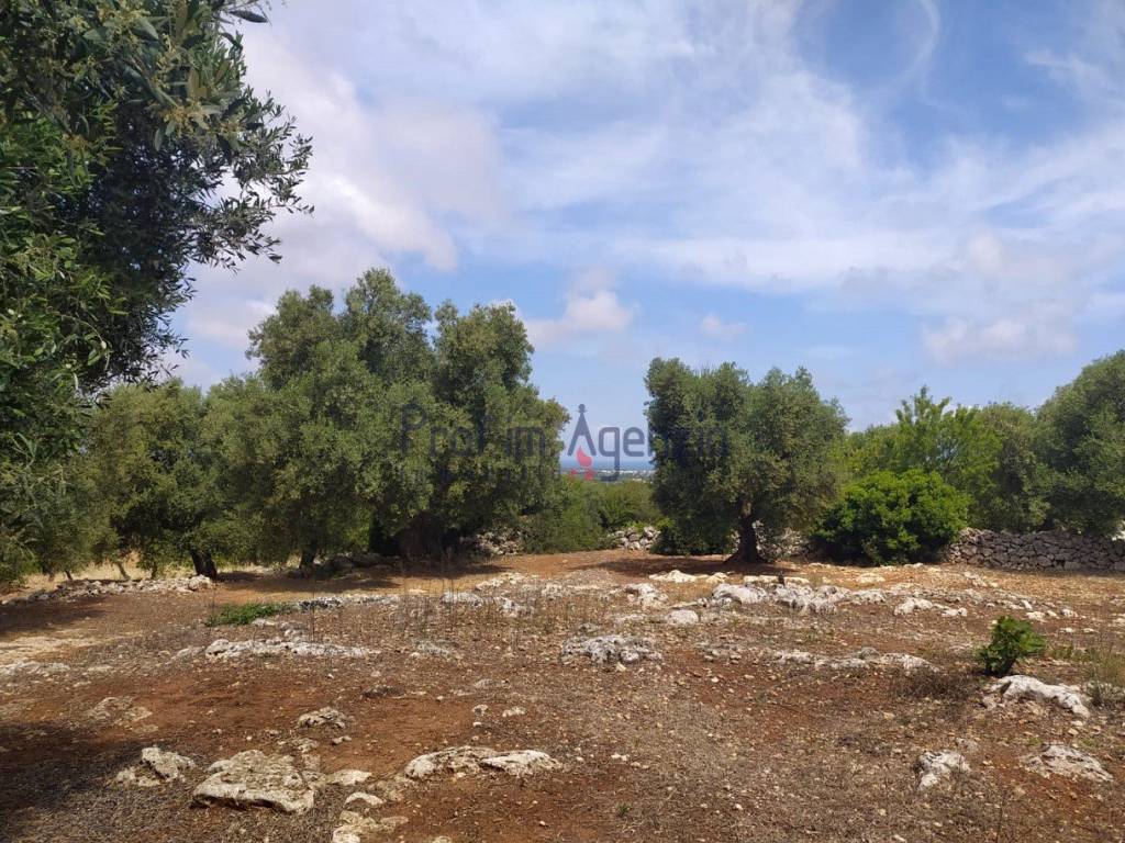 Villa a Carovigno - Foto 3