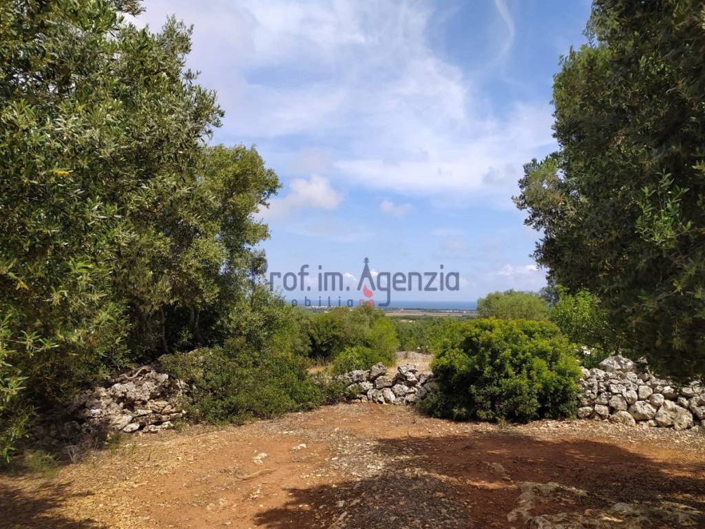 Villa a Carovigno - Foto 5