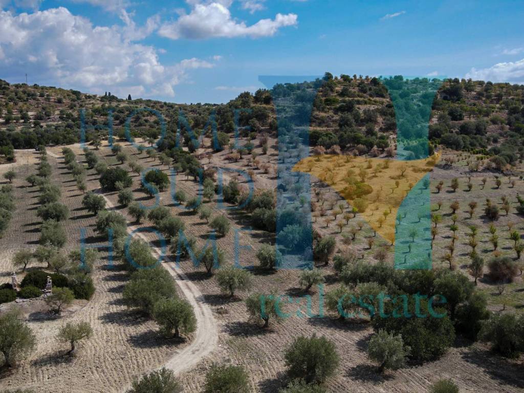 Terreno a Noto in Via Tommaso Fazello, 228 - Foto 4