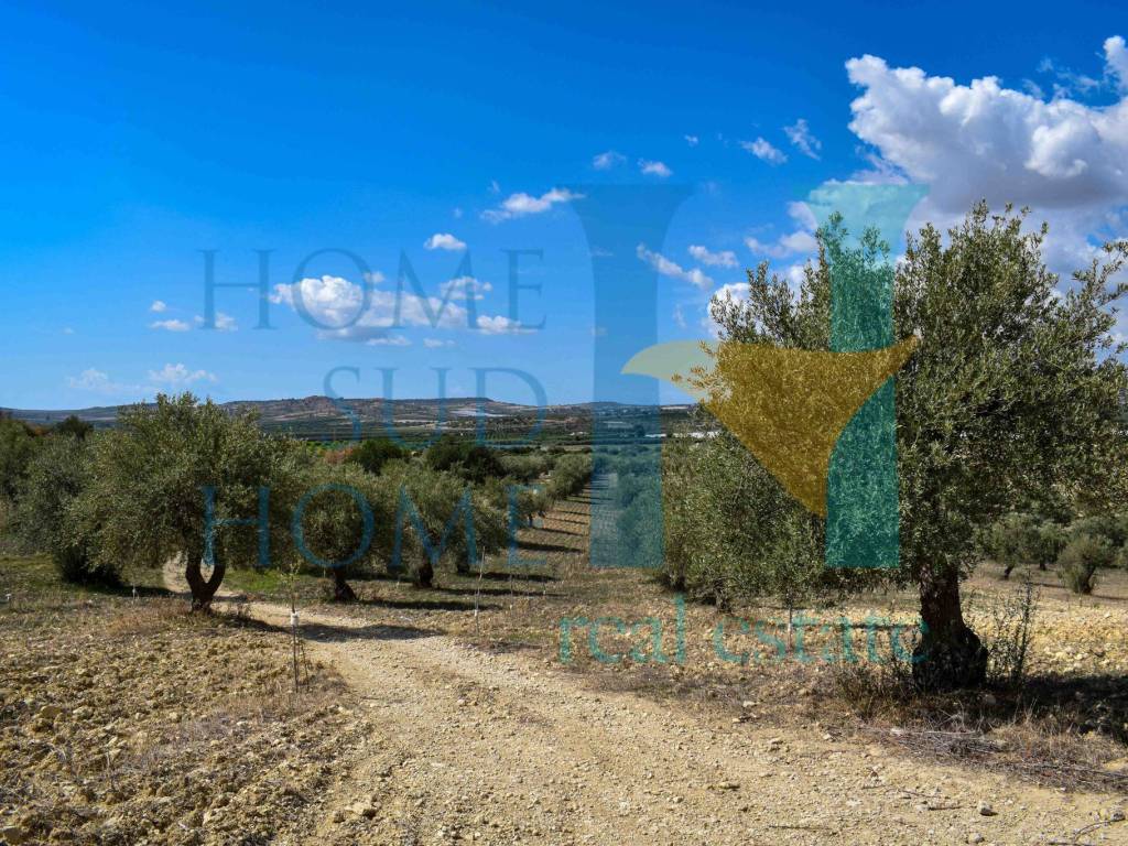 Terreno a Noto in Via Tommaso Fazello, 228 - Foto 5