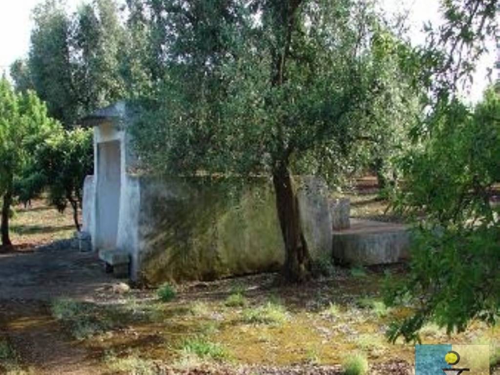 Terreno a San vito dei normanni in Contrada Grattile - Foto 2