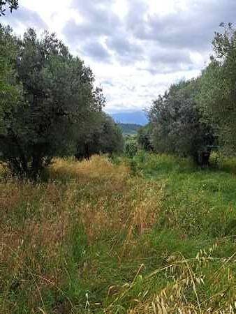 Terreno a Fara in sabina in Via Salaria Vecchia, 31 - Foto 2