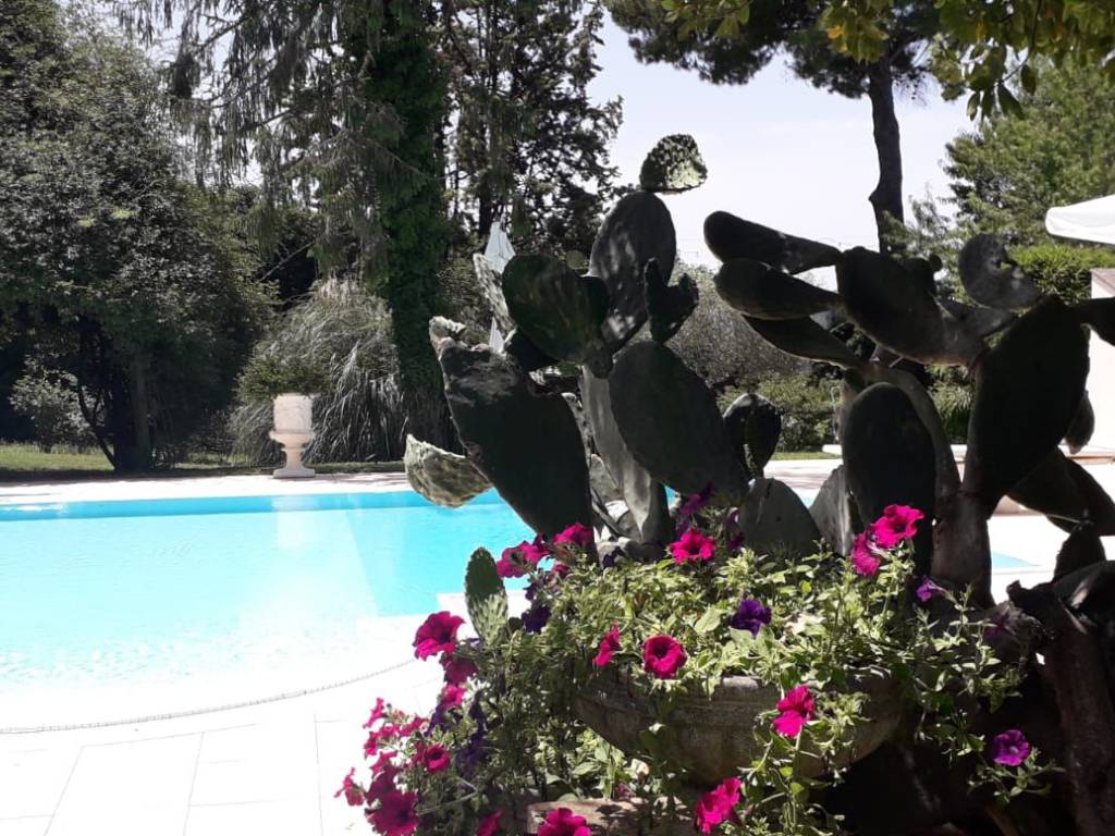 Villa a Magliano sabina - Foto 5