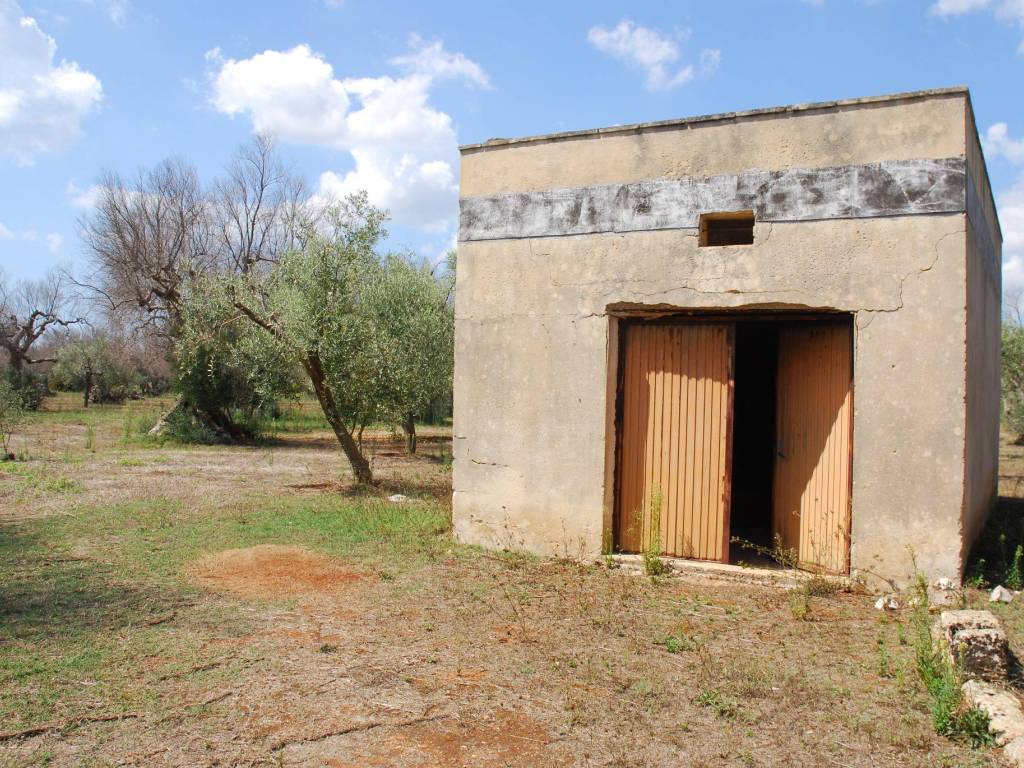 Terreno a Salve in Strada Vicinale Cariddi - Foto 4