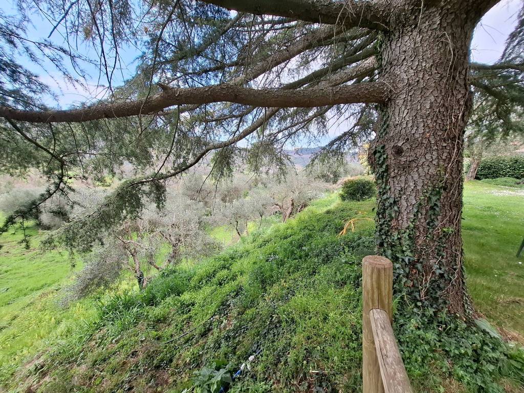 Villa a Arcidosso in Località La Valle 1 - Foto 5