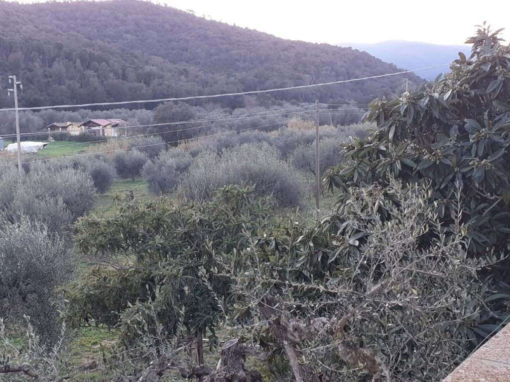 Appartamento a Castiglione della pescaia - Foto 3