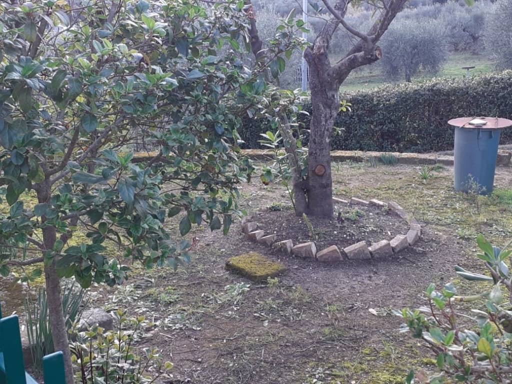 Appartamento a Castiglione della pescaia - Foto 5
